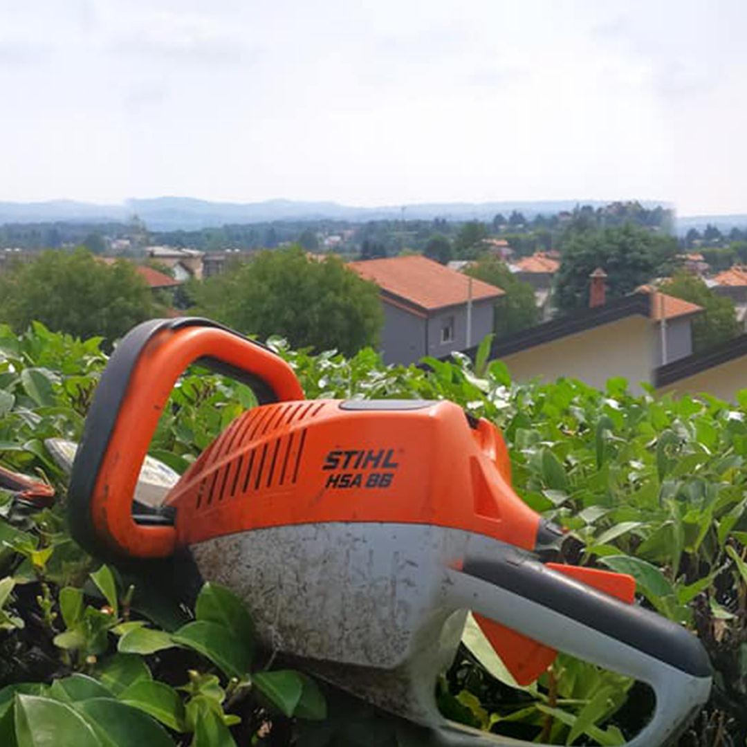 Barbieri Giardini di Barbieri Andrea a Senago (MI), offre servizio professionale di potatura tree climbing per la vostra area verde.